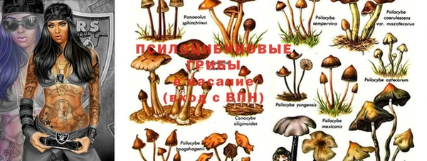 МДМА Алексин