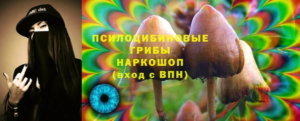 ПСИЛОЦИБИНОВЫЕ ГРИБЫ Алексеевка
