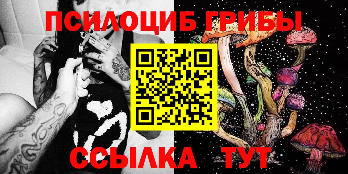 Димитровград  Галлюциногенные грибы GOLDEN TEACHER  Вход с VPN  Галлюциногенные грибы Psilocybe 